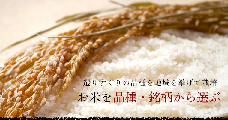 お米を品種・銘柄から選ぶ