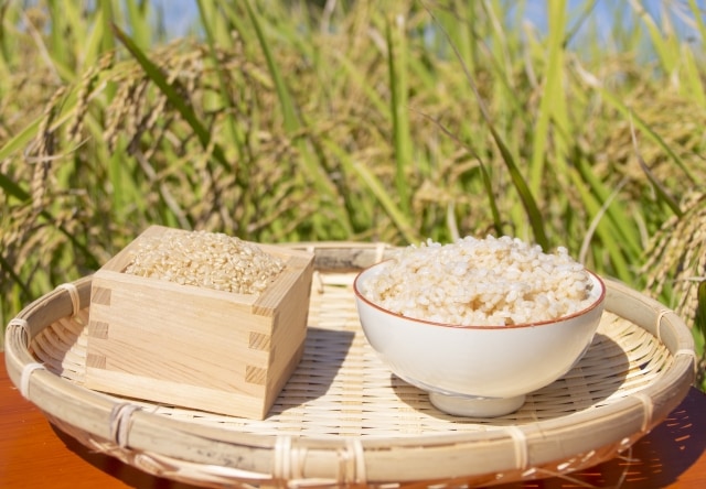 �Ĥ�ܤȸ���