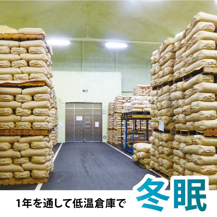 低温倉庫で米を冬眠