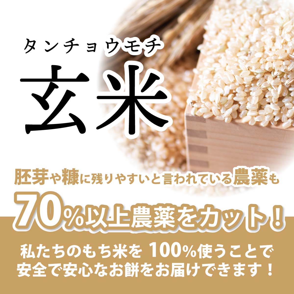 タンチョウモチ玄米