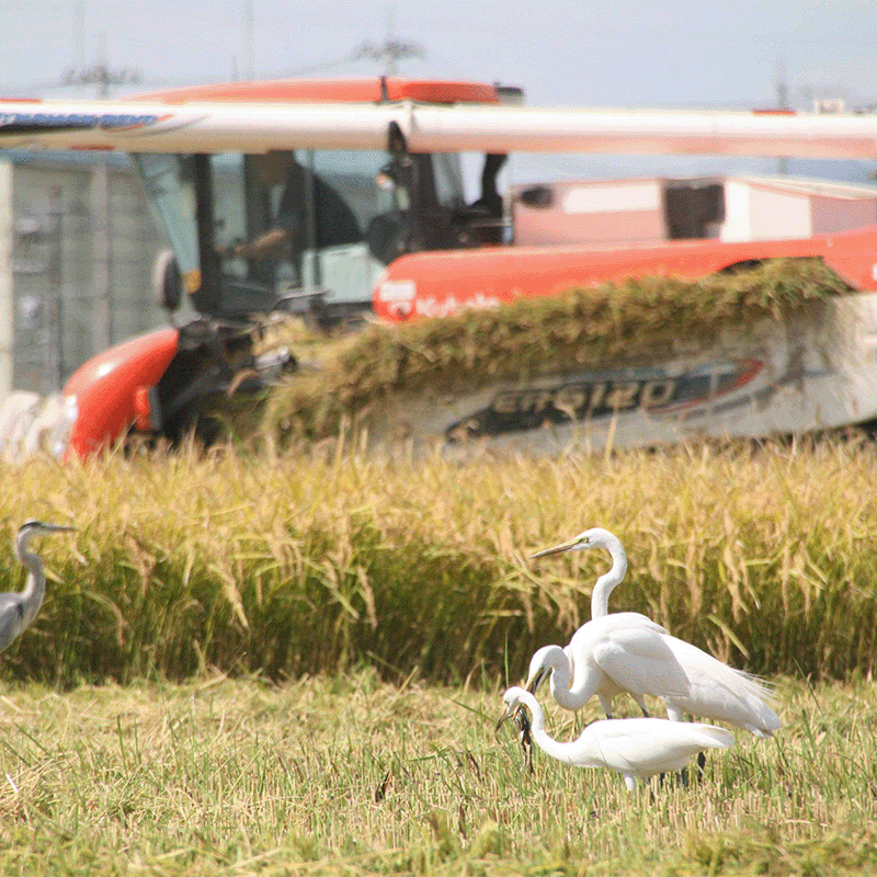 ���ʥ���������