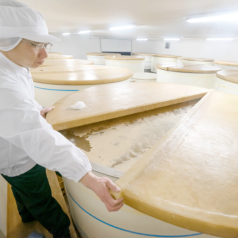 �ϸ���¤�ε�