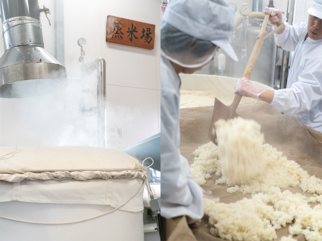 �����¤��