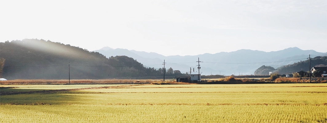 丹後の田園風景