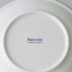 Saturnia. プレート ミラノロッソ サタルニア