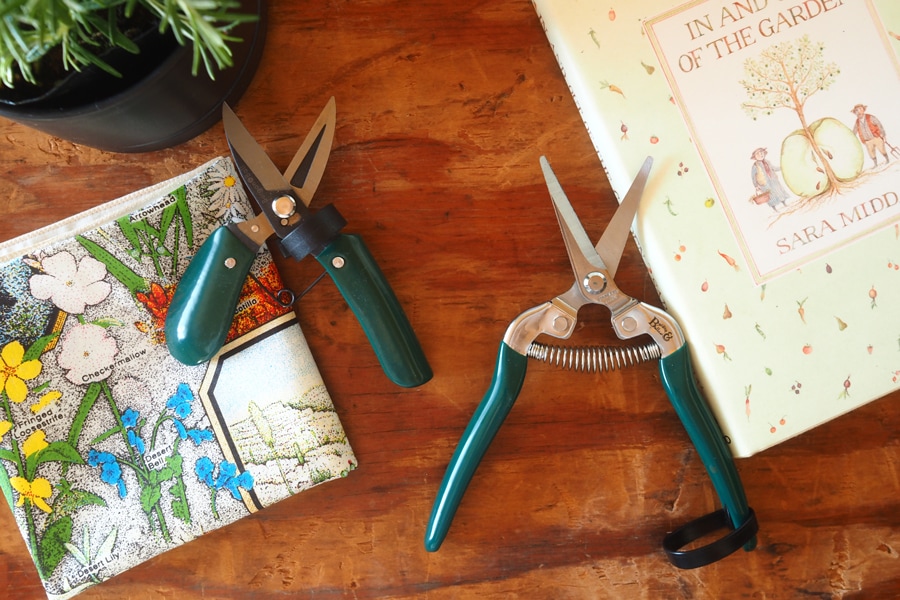 Burgon �� Ball / �С�������ܡ��롡��ǽ��ݤϤ��ߡ����ڤ�Ϥ���