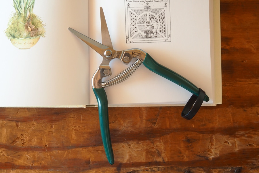 Burgon �� Ball / �С�������ܡ��롡��ǽ��ݤϤ��ߡ����ڤ�Ϥ���