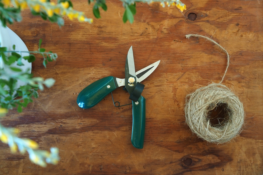 Burgon �� Ball / �С�������ܡ��롡��ǽ��ݤϤ��ߡ����ڤ�Ϥ���