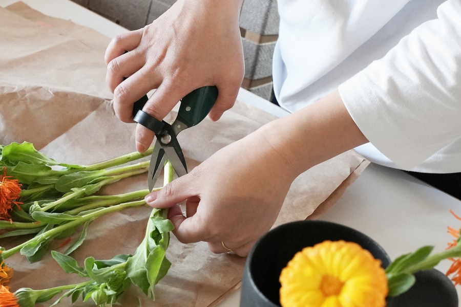 Burgon �� Ball / �С�������ܡ��롡��ǽ��ݤϤ��ߡ����ڤ�Ϥ���