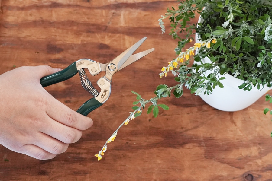 Burgon �� Ball / �С�������ܡ��롡��ǽ��ݤϤ��ߡ����ڤ�Ϥ���