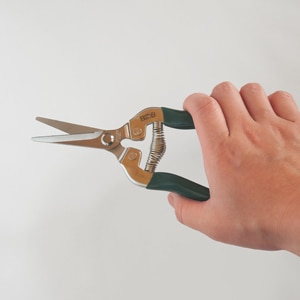 Burgon �� Ball / �С�������ܡ��롡��ǽ��ݤϤ��ߡ����ڤ�Ϥ���