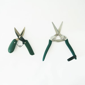 Burgon �� Ball / �С�������ܡ��롡��ǽ��ݤϤ��ߡ����ڤ�Ϥ���