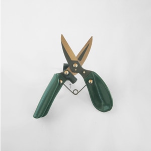 Burgon �� Ball / �С�������ܡ��롡��ǽ��ݤϤ��ߡ����ڤ�Ϥ���