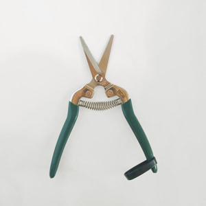 Burgon �� Ball / �С�������ܡ��롡��ǽ��ݤϤ��ߡ����ڤ�Ϥ���