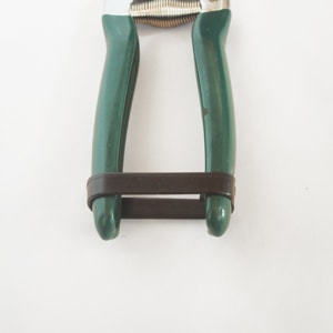 Burgon �� Ball / �С�������ܡ��롡��ǽ��ݤϤ��ߡ����ڤ�Ϥ���