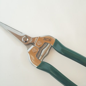 Burgon �� Ball / �С�������ܡ��롡��ǽ��ݤϤ��ߡ����ڤ�Ϥ���