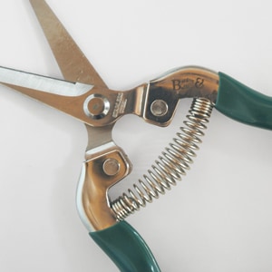 Burgon �� Ball / �С�������ܡ��롡��ǽ��ݤϤ��ߡ����ڤ�Ϥ���