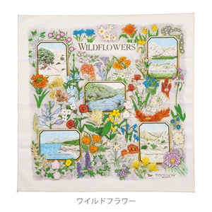 �ͥ����㡼�ץ��ȥХ���ʡʥץ��ƥåɥ��᡼����