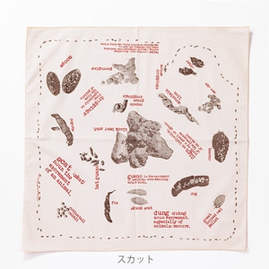 �ͥ����㡼�ץ��ȥХ���ʡʥץ��ƥåɥ��᡼����