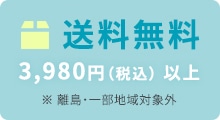 3980円以上で送料無料