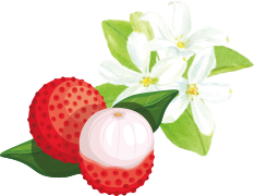 �饤�����㥹�ߥ󥤥饹��