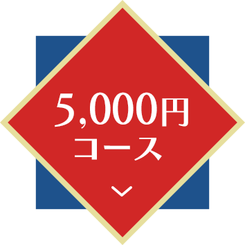 5000�ߥ������ؤΥ�󥯥ܥ���