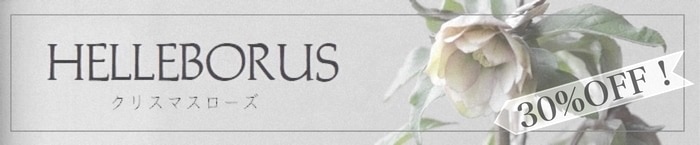 ���ꥹ�ޥ�������30%off