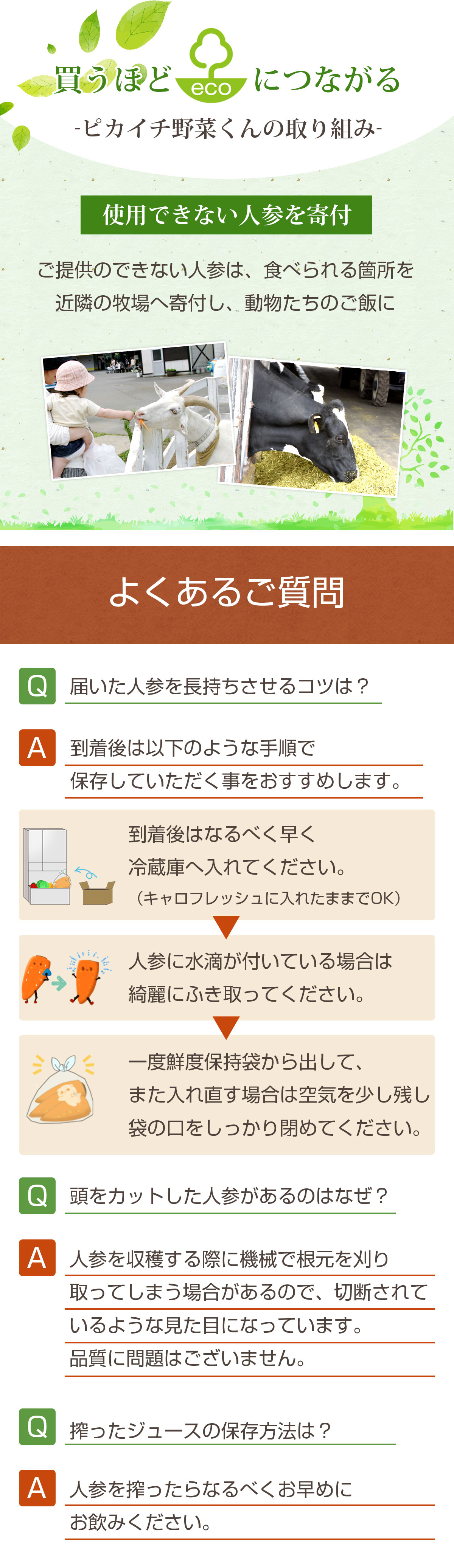 定期購入) 無農薬人参１０kg 定期便 【訳あり】 ジュース用 にんじん 人参ジュース 無農薬 にんじんジュース