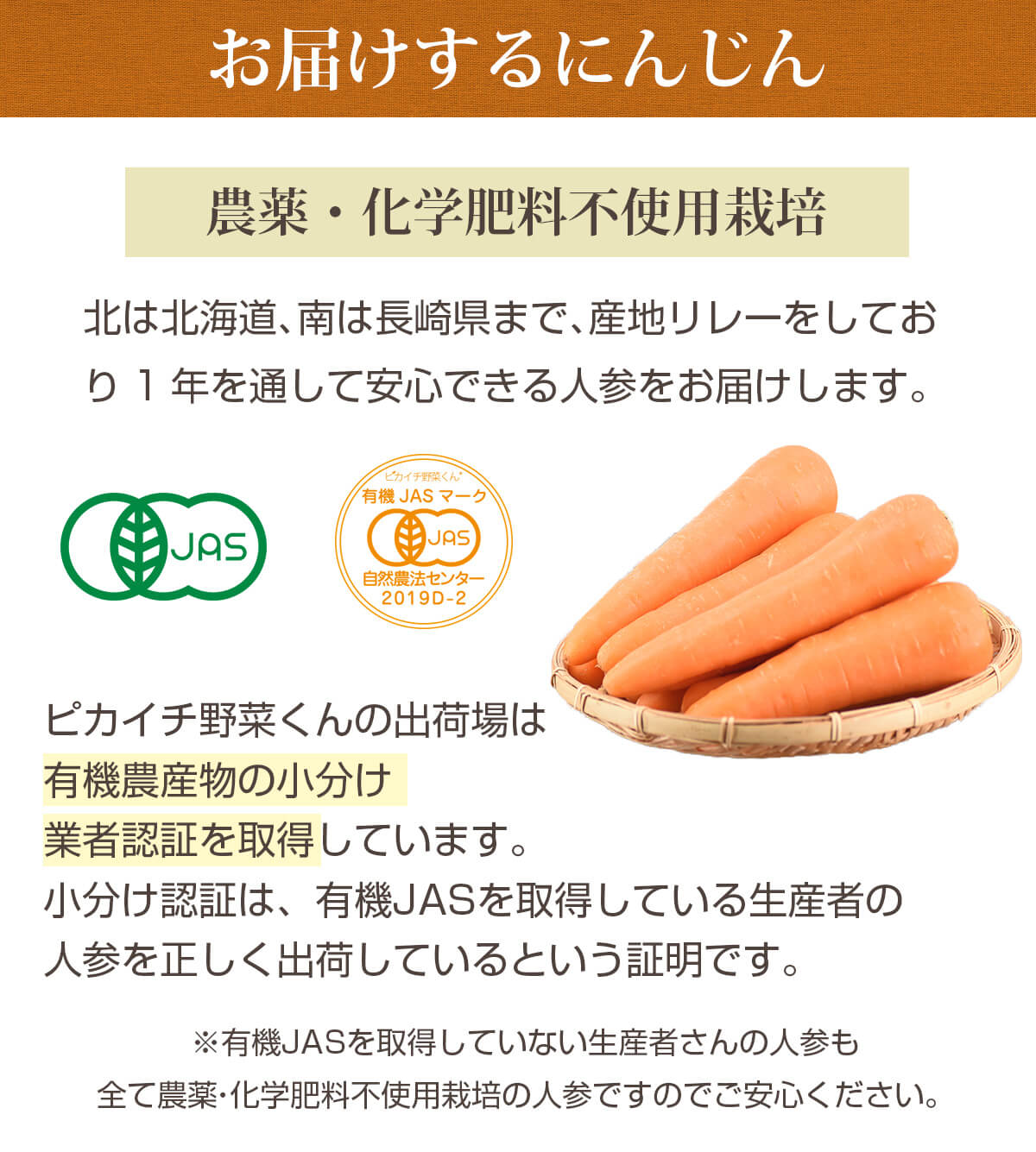 人参ジュース用の人参8kgりんご3kgレモン1kgセット（規格外品） 【ピカイチ野菜くん】