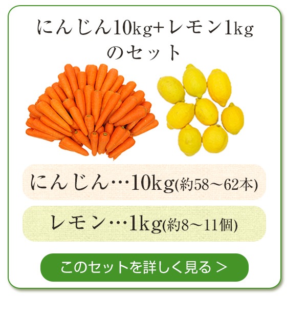 人参10kg＋レモン1kgセット