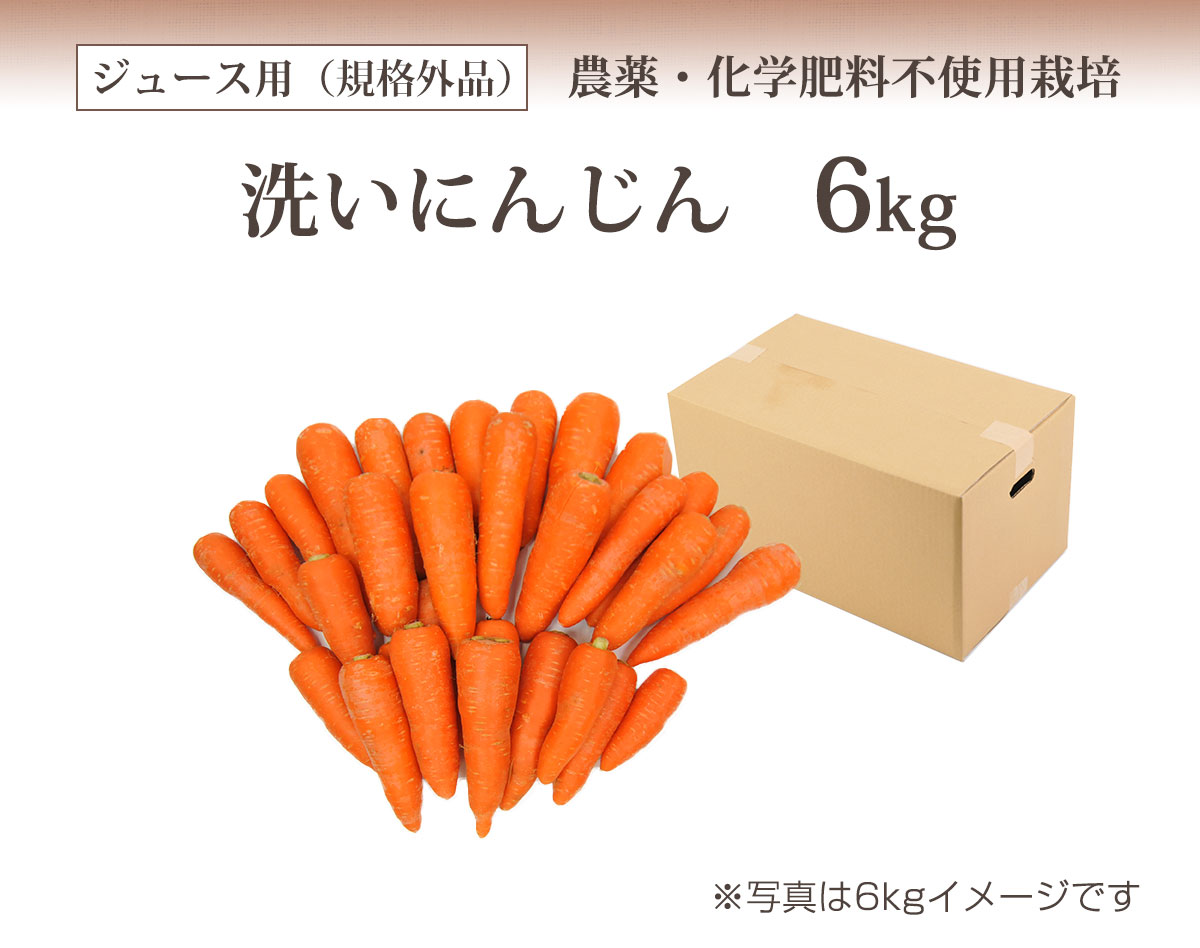 人参ジュース用の訳あり無農薬人参 6kg（規格外品） 【ピカイチ野菜くん】