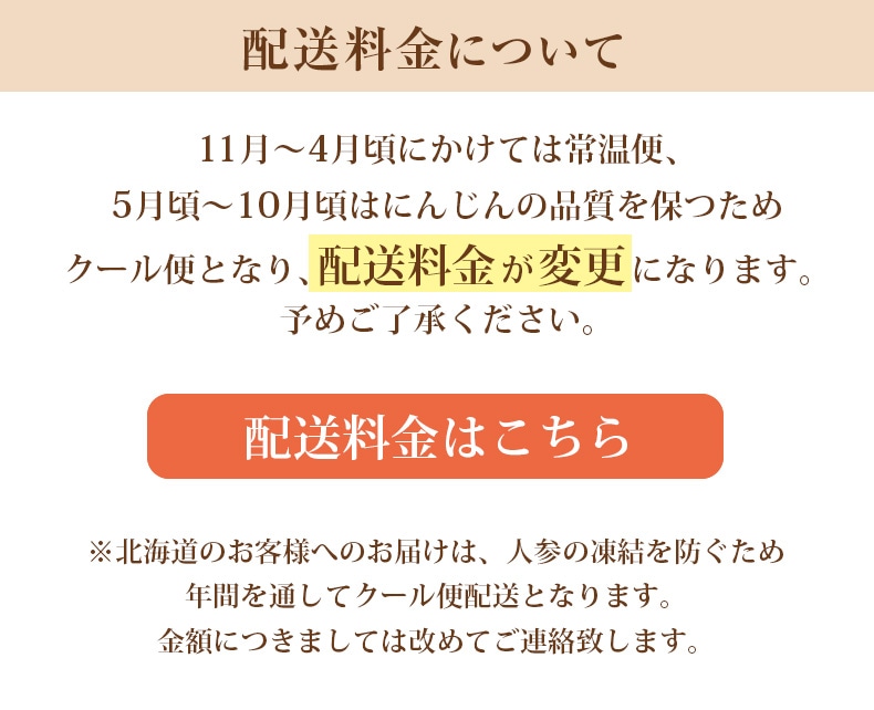 定期購入) 無農薬人参１０kg 定期便 【訳あり】 ジュース用 にんじん 人参ジュース 無農薬 にんじんジュース