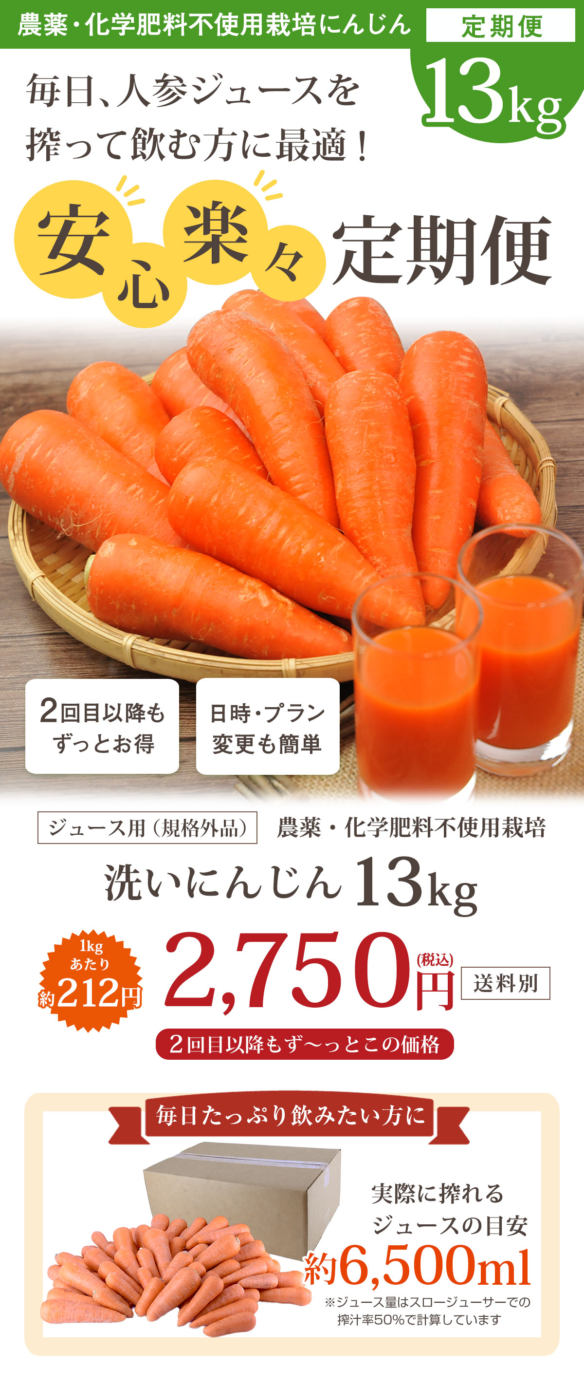 無農薬人参10kg - 野菜