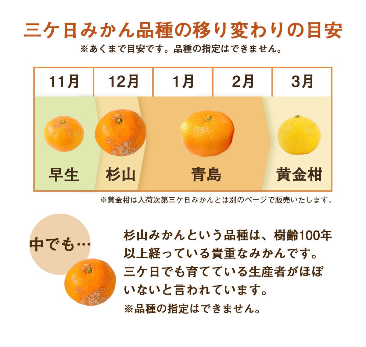 訳あり三ケ日みかん　5kg（農薬・ホルモン剤・防腐剤不使用）【ピカイチ野菜くん】