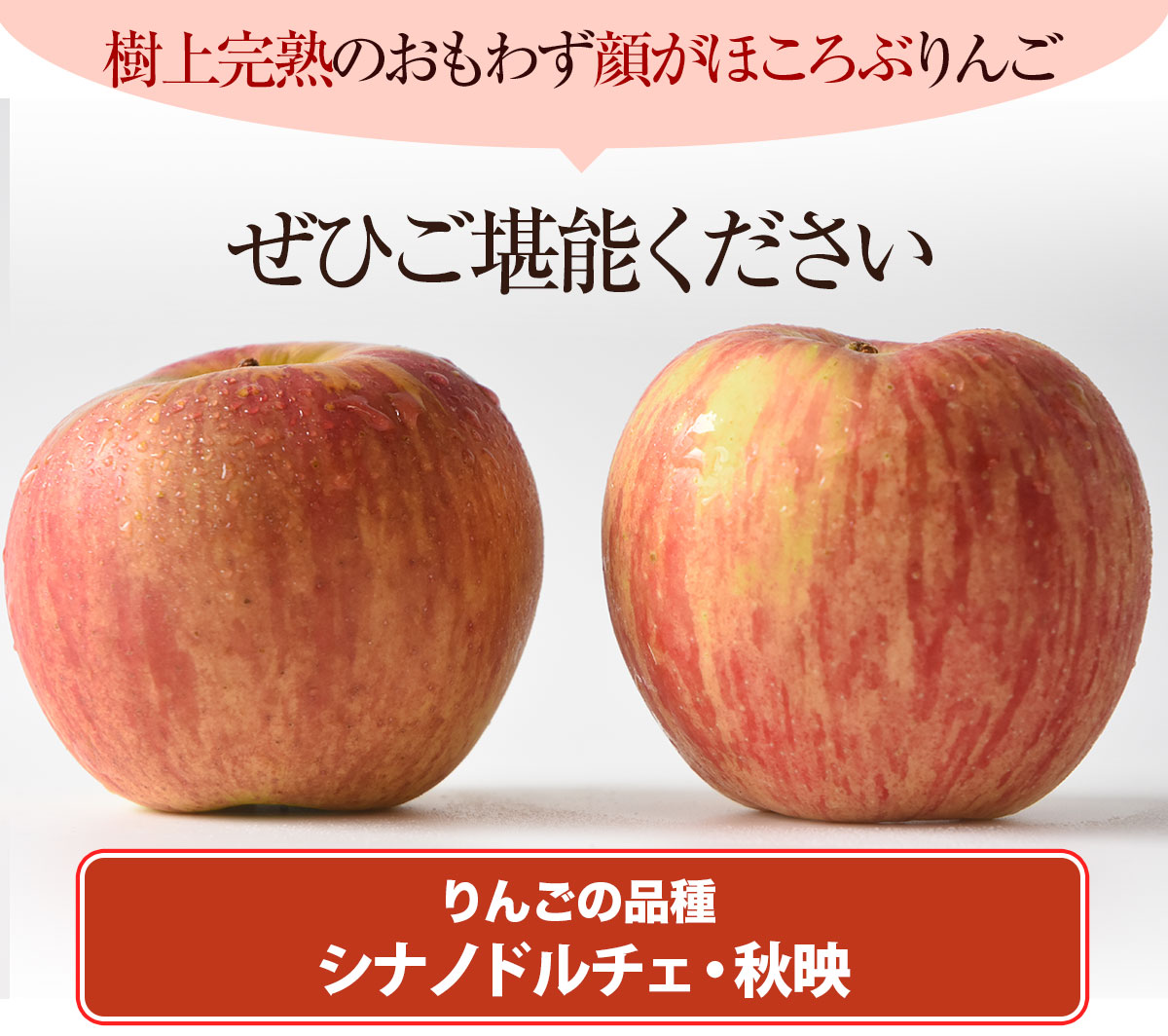 訳あり長野県産 樹上完熟りんご 5kg（除草剤不使用）【ピカイチ野菜くん】
