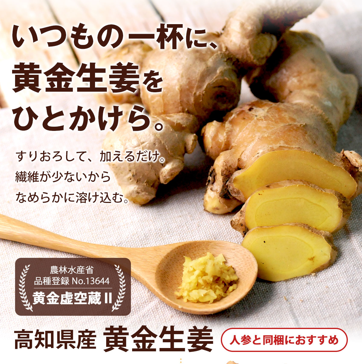 高知県産 黄金生姜 ( 古根 ) 400g / 800g 農林水産省 品種登録 黄金虚空蔵