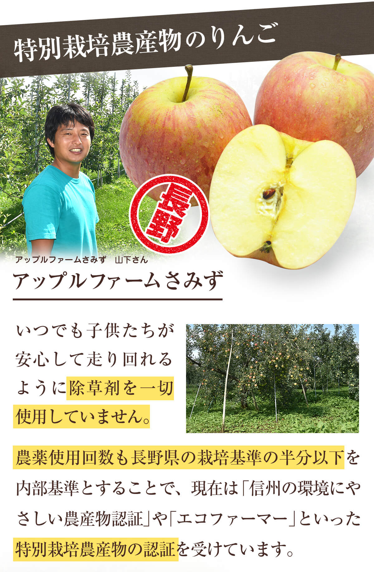 特別栽培農産物のりんご（アップルファームさみず）