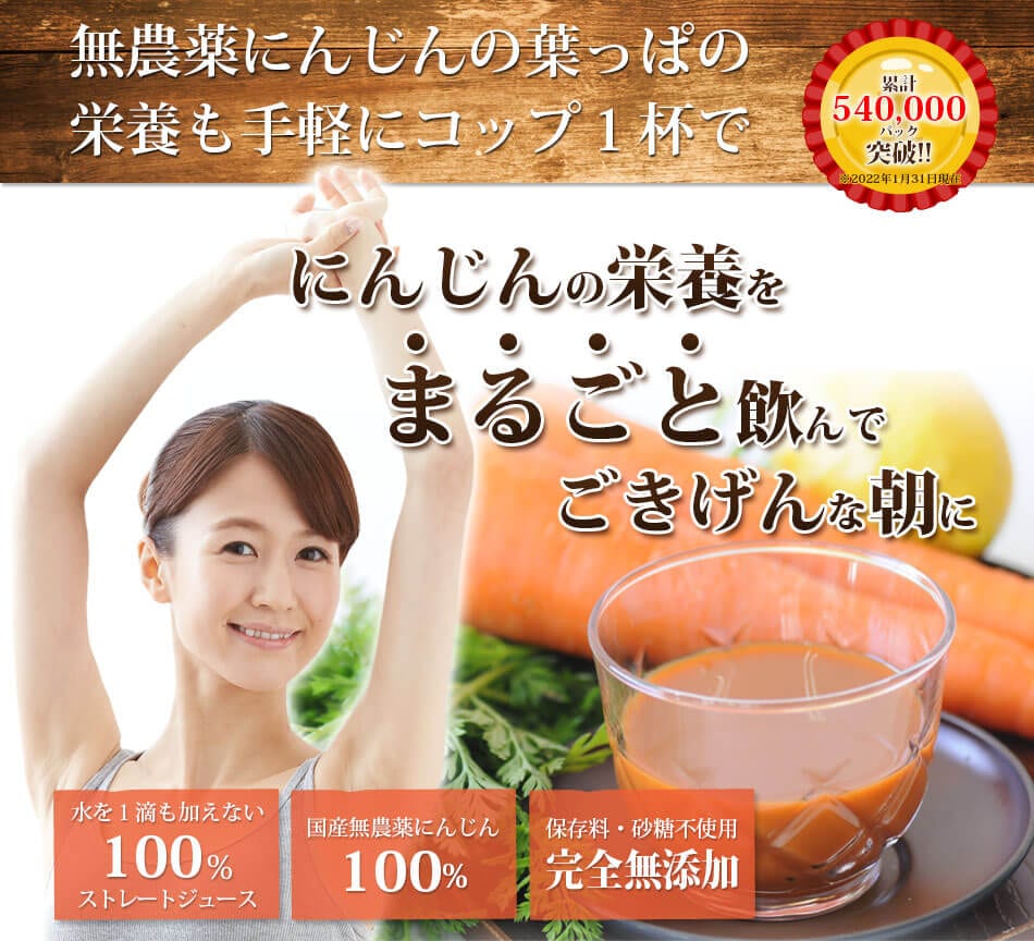 SALE／10%OFF 100cc×30パック 無農薬野菜 青汁 健康 6種