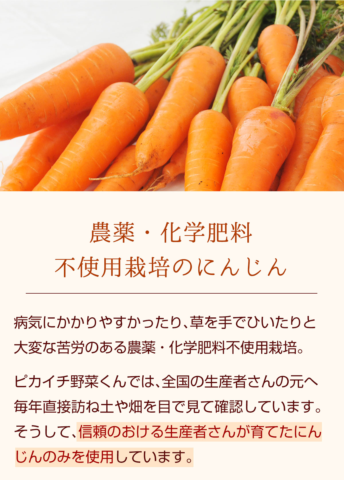 無添加の人参リンゴレモンジュース 900ml瓶 6本 ピカイチ野菜くん