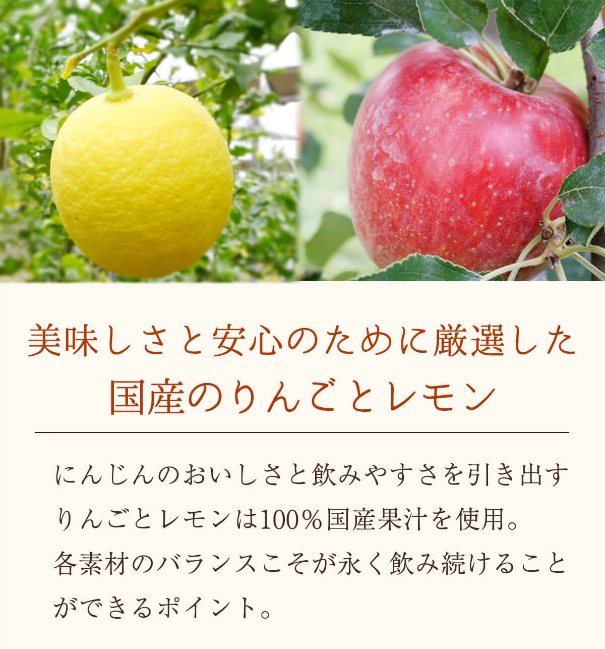 国産のりんごとレモン