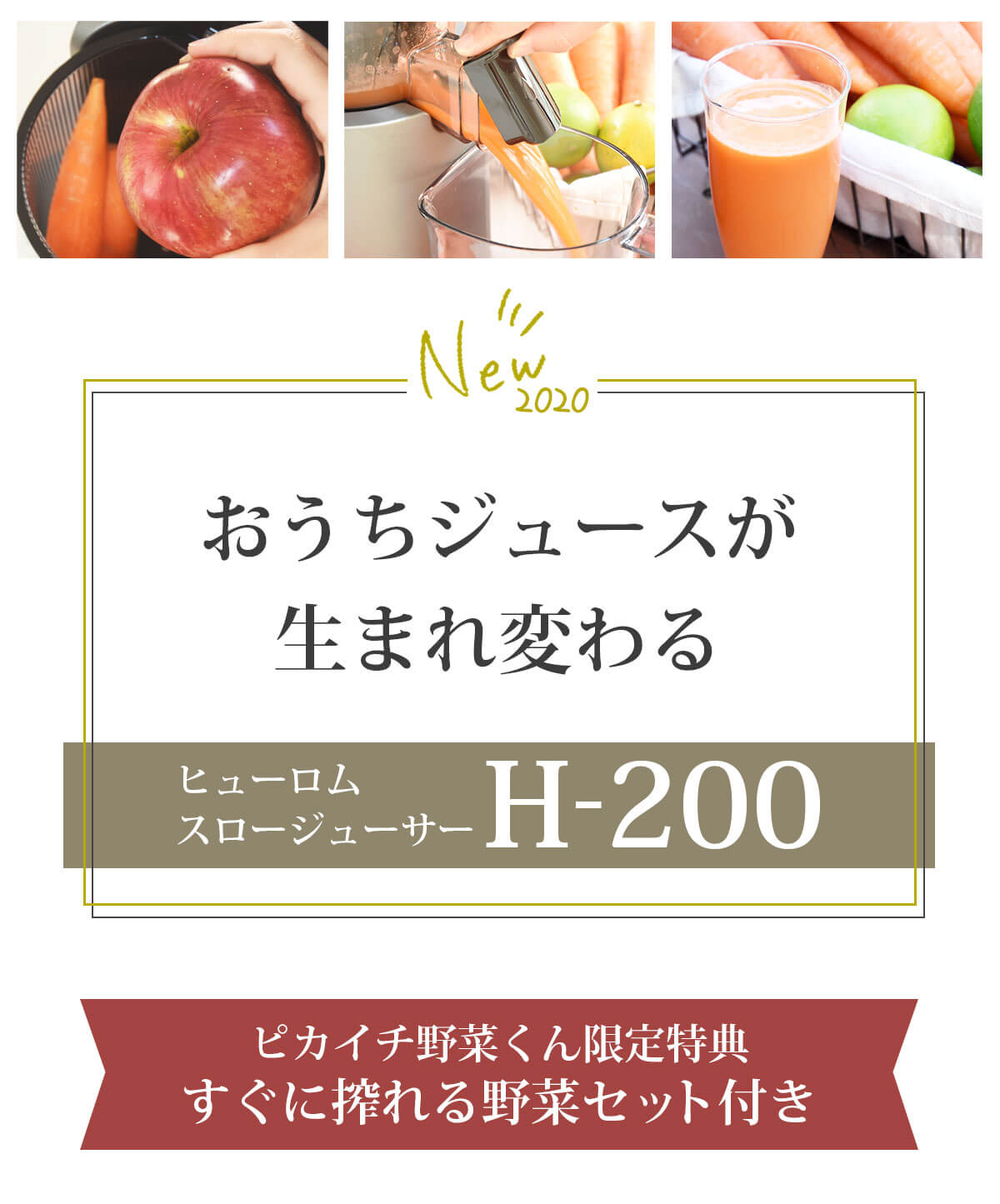 スロージューサー新機種のヒューロムスロージューサー H-200 【ピカイチ野菜くん】