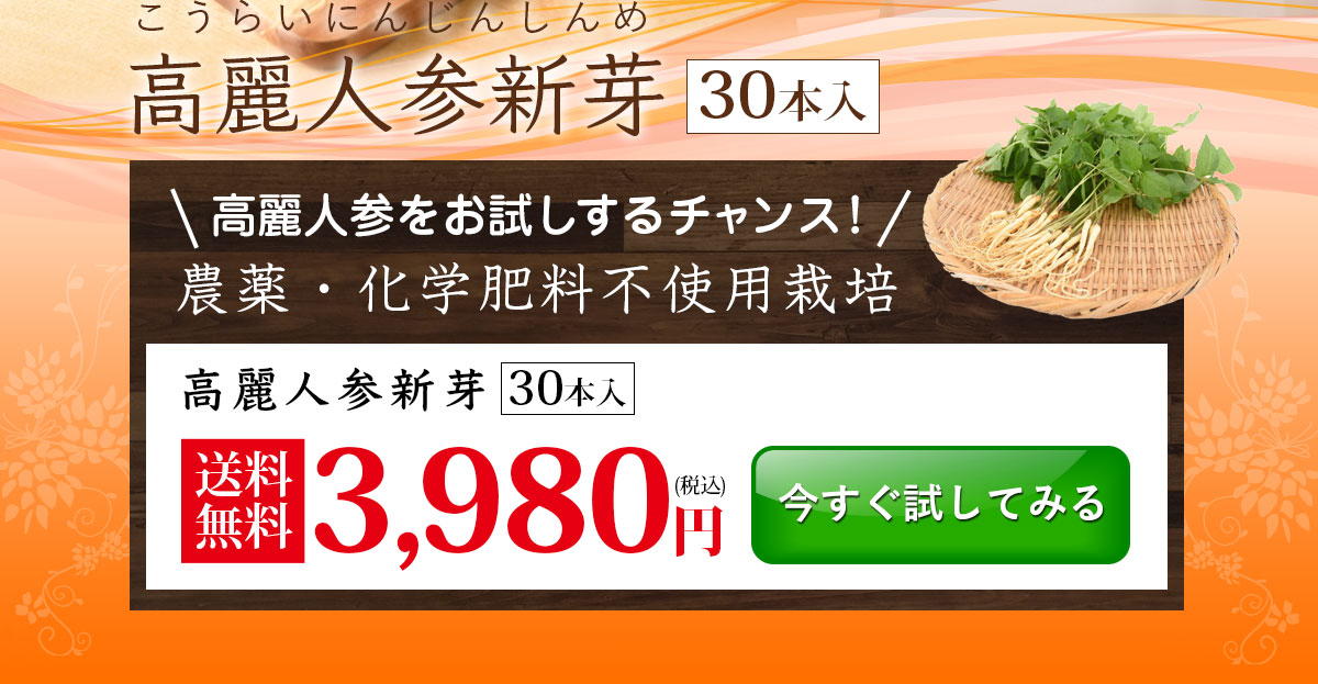 生葉付きの生高麗人参 30本 韓国直輸入 朝鮮人参 オタネニンジン パースニップ