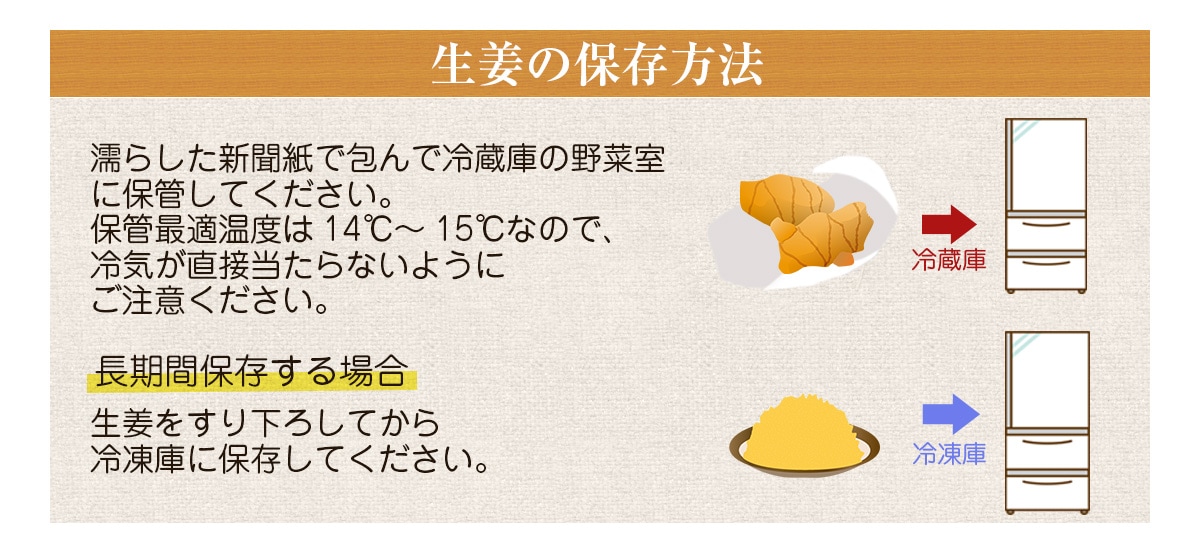 新生姜 無肥料 農薬栽培期間中不使用 露地栽培 熊本県産  4kg