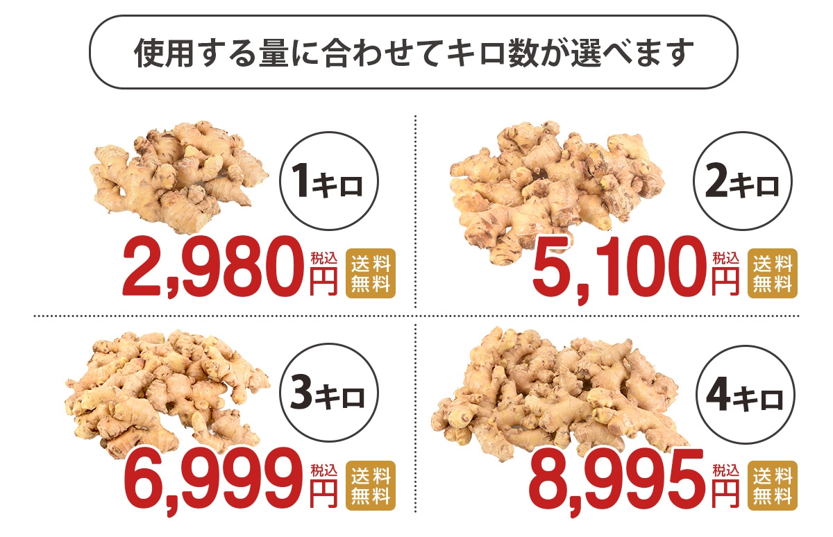 長崎県産 無農薬 生姜（古根） 1kg 2kg 3kg 4kg【ピカイチ野菜くん】