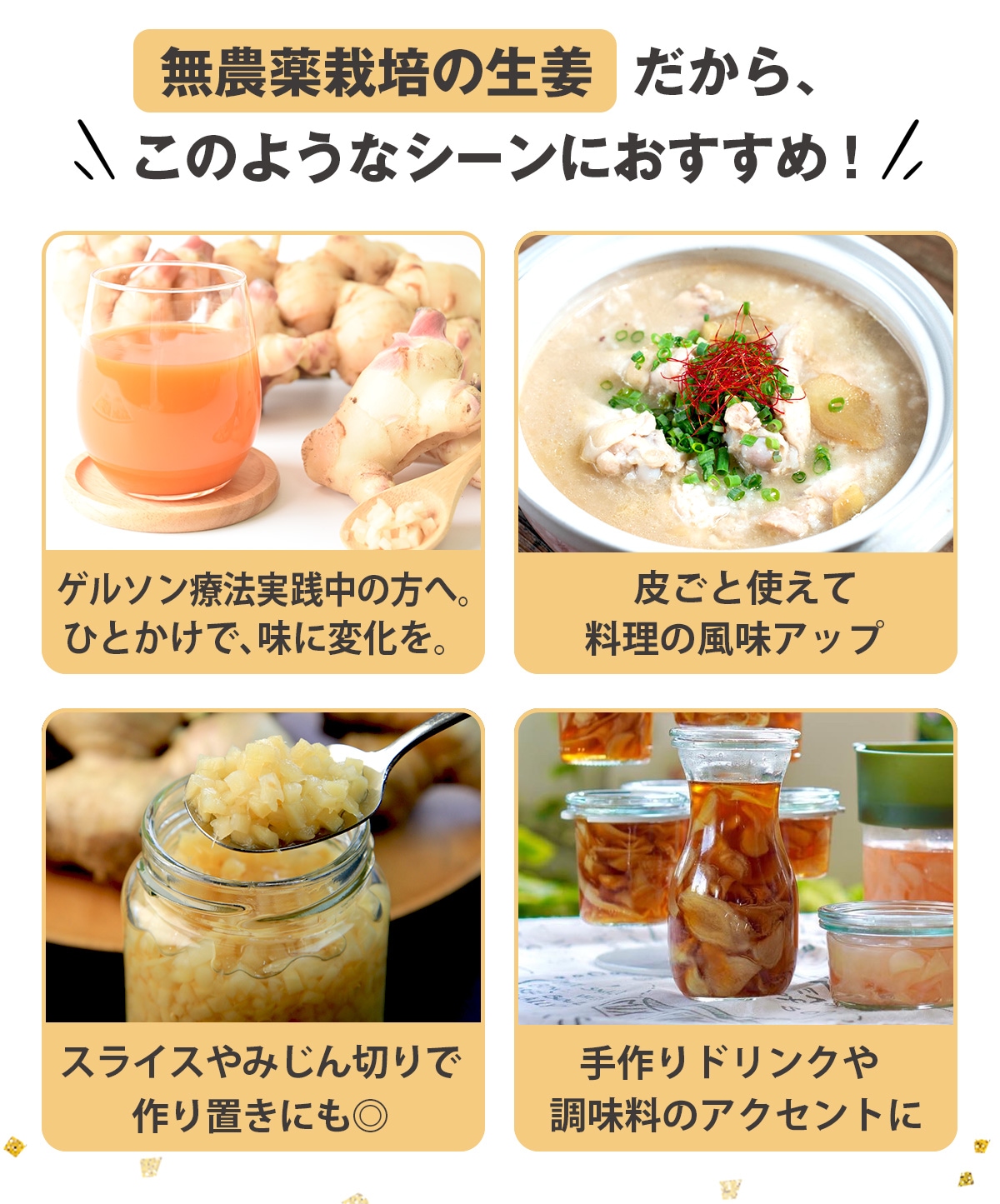 長崎県産 無農薬 生姜（古根） 500g 【ピカイチ野菜くん】