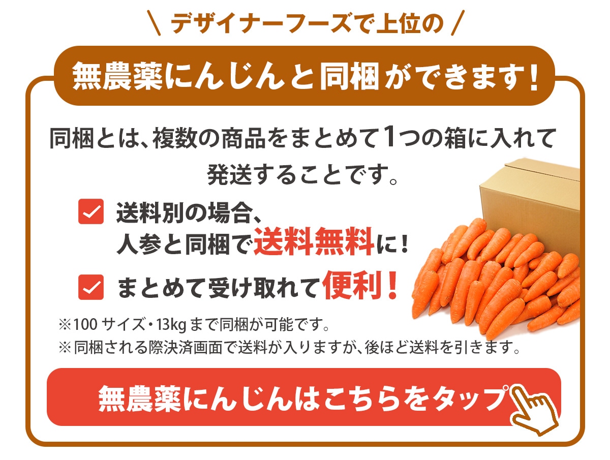 長崎県産 無農薬 生姜（古根） 1kg 2kg 3kg 4kg【ピカイチ野菜くん】