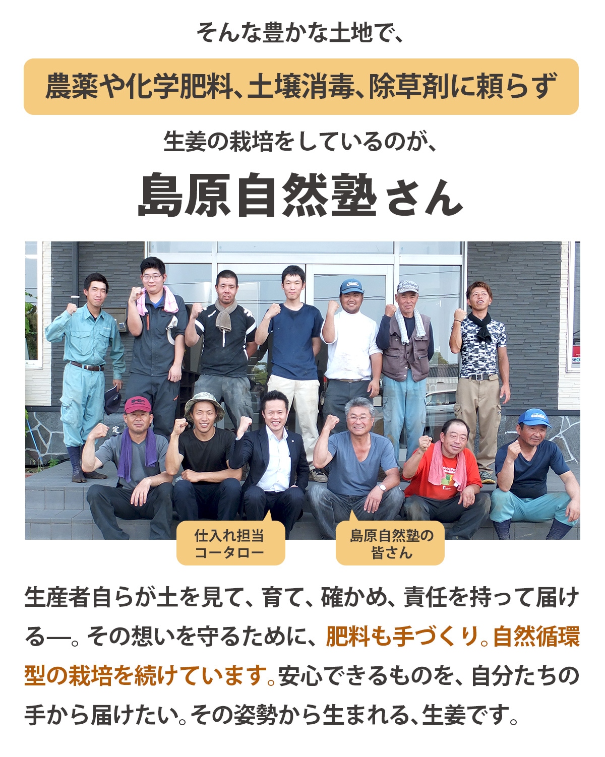 長崎県産 無農薬 生姜（古根） 500g 【ピカイチ野菜くん】