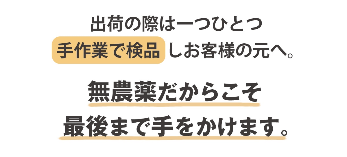 �в٤κݤϤҤȤĤҤȤļ��ȤǸ��ʤ������ͤθ���