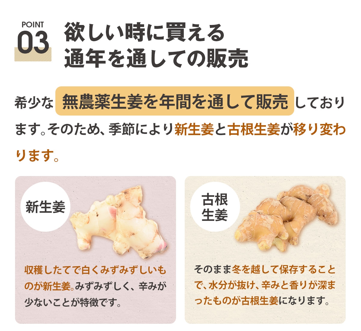 長崎県産 無農薬 生姜（古根） 1kg 2kg 3kg 4kg【ピカイチ野菜くん】