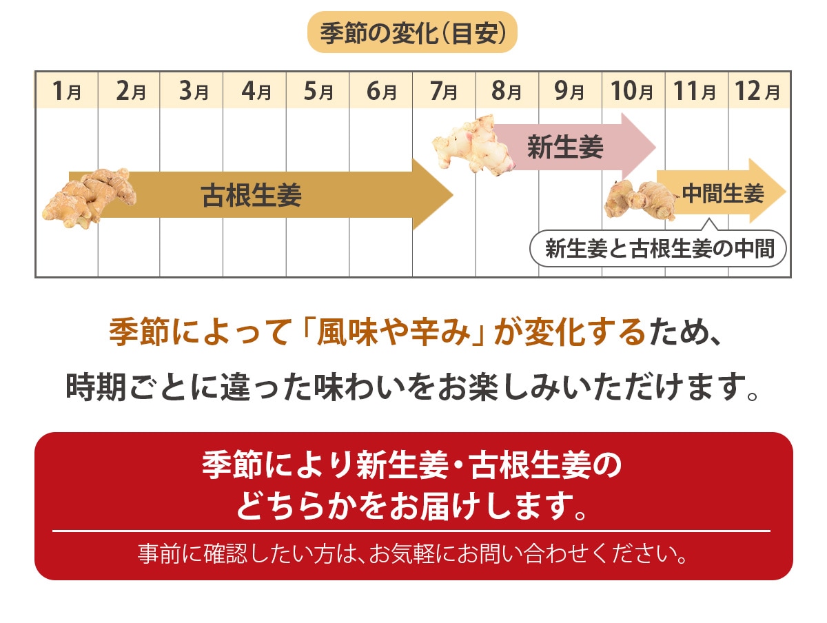 長崎県産 無農薬 生姜（古根） 500g 【ピカイチ野菜くん】